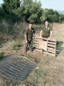 assets_LARGE_t_11761_54731779_type13145