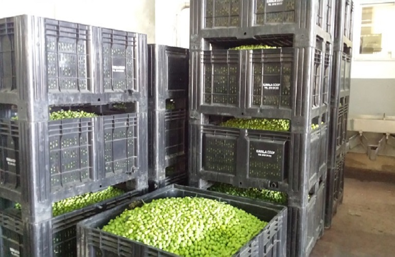 %ce%b5%ce%bb%ce%b9%ce%b5%cf%82-%ce%b5-%ce%b1-4