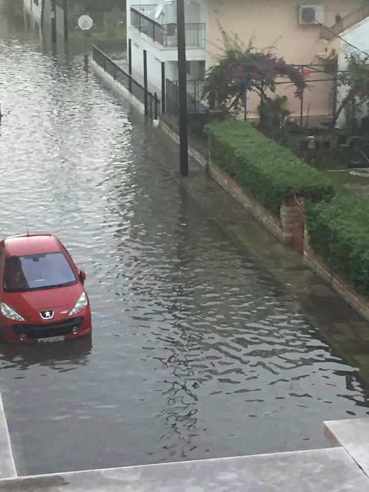 14642246_10207133926802876_1553764994260993584_n