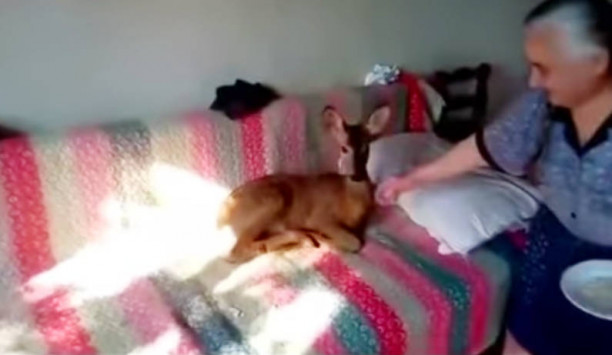 kuftktfykyftyktfdyjdtjyr_612_355