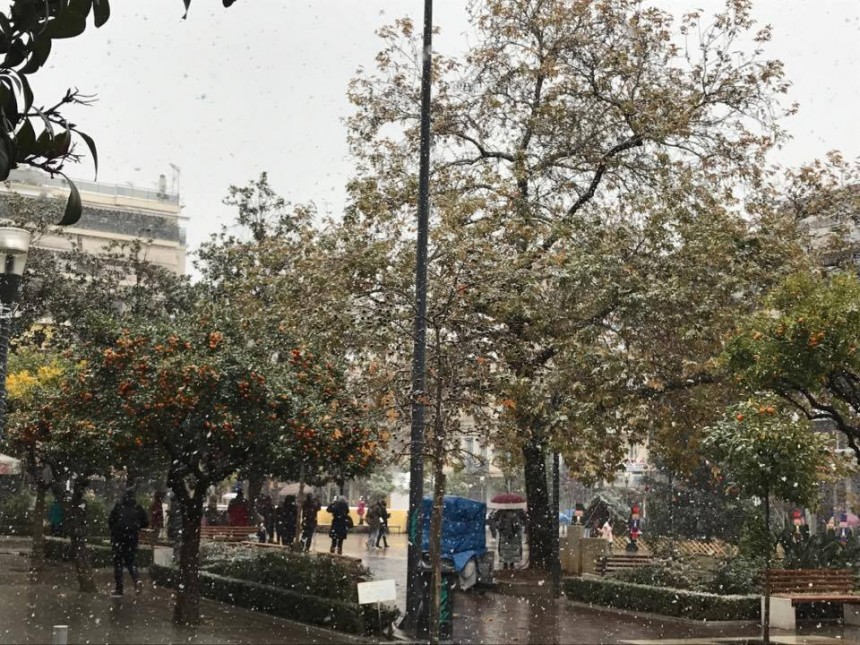 15910042_927198404089921_1253630127_n