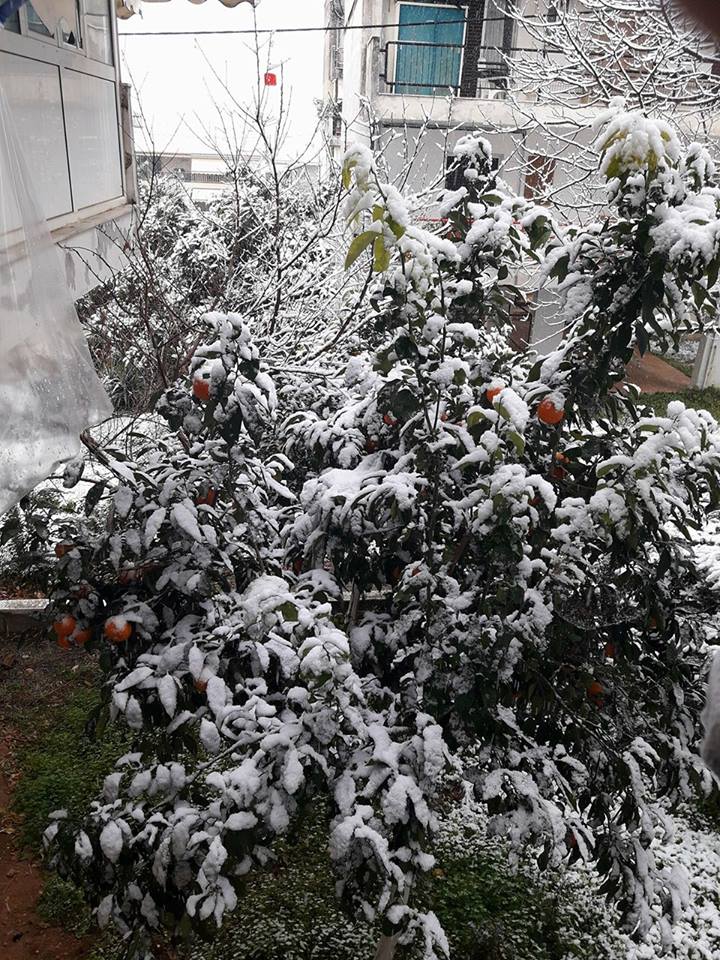 15942298_1304037719641972_266508227_n