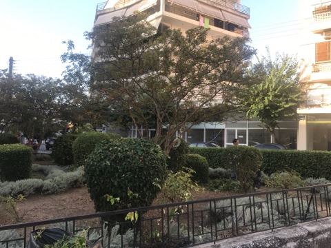 apopsilosi-dentron-dimos-agriniou