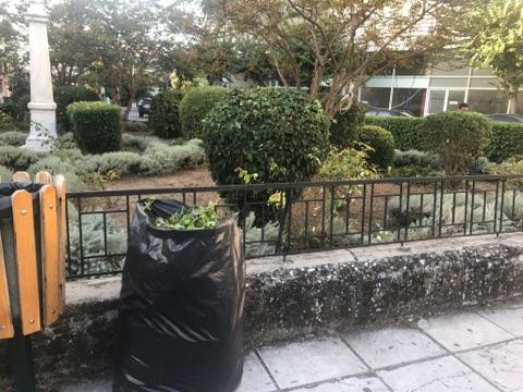 apopsilosi-dentron-dimos-agriniou