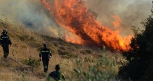 Υψηλός ο κίνδυνος εκδήλωσης πυρκαγιάς – Στο «κίτρινο» Αχαΐα, Ηλεία…