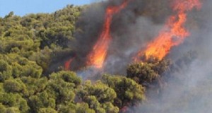Θάσος: Πυρκαγιές σε δασικές εκτάσεις από κεραυνούς