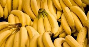 Οι μπανάνες προστατεύουν από τον ιό του AIDS