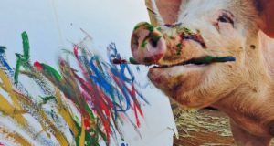 Και όμως αυτό το γουρούνι… ζωγραφίζει!
