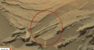 Υπάρχει ζωή στον Άρη; – Tι ανακάλυψε το rover της…