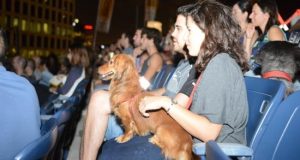 «Ντίτζι Ντογκ»: Η πρώτη ψηφιακή υπηρεσία για σκύλους