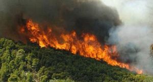 Κινητοποίηση της Πυροσβεστικής για πυρκαγιά στην Κομποτή Ξηρομέρου