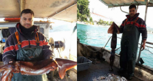 Ιόνιο: Καλαμάρι «γίγας» στα δίχτυα ψαρά (Φωτογραφίες)