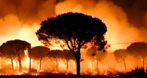 Καίγεται η νότια Ισπανία – Εκατοντάδες εγκαταλείπουν τα σπίτια τους…