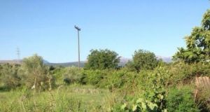Εντοπίστηκαν δύο φυτείες δενδρυλλίων κάνναβης σε περιοχές της Πάργας