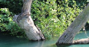 Αχέροντας Ποταμός: Παίζοντας με τη φύση στο αρχαίο ποτάμι των…