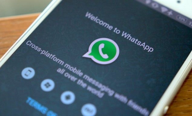 whatsapp 631 355