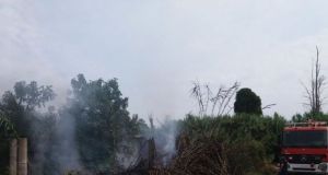 Καλύβια: Φωτιά κατέκαψε γεωργική αποθήκη και καλαμιώνα (Φωτογραφίες)