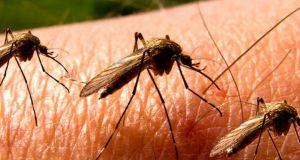 Καλύβια Αγρινίου: Ψεκασμοί για τα κουνούπια