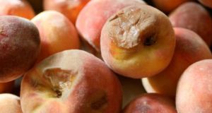 Αγρίνιο: Έστειλαν σάπια φρούτα στον δήμο