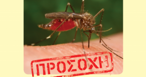 Π.Ε. Αιτωλ/νίας: Μέτρα προστασίας από τα κουνούπια και προληπτικές ενέργειες
