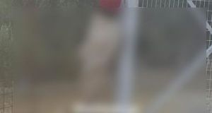 Το sexy «σκιάχτρο» που βρήκαν πυροσβέστες στην Αχαΐα