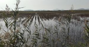 Αποζημιώσεις από τον ΕΛΓΑ σε αγρότες της Αιτωλοακαρνανίας