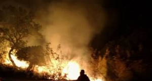 Καινούργιο Αγρινίου: Πυρκαγιά λίγο πριν τα μεσάνυχτα της Δευτέρας (Βίντεο-Φωτό)