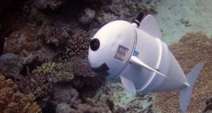 SoFi: Το ρομποτικό ψάρι που μοιάζει με πραγματικό και κολυμπά…