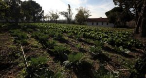 Ενημέρωση για το Πρόγραμμα Βιολογικών Καλλιεργειών στον Αγροτικό Συνεταιρισμό Καινούργιου