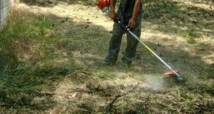 Δήμος Πατρέων: Καλούνται οι ιδιοκτήτες οικοπέδων να τα καθαρίσουν άμεσα