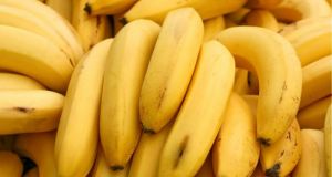 Παγκόσμια ανησυχία: Κινδυνεύουν να εξαφανιστούν οι μπανάνες!