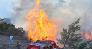 Γαβρολίμνη: Πυρκαγιά ξέσπασε μέσα σε χωράφι με ροδιές (Βίντεο-Φωτό)