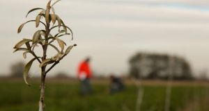 Η τεχνολογία για τη μείωση της θερμοκρασίας της γης θα…