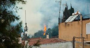 Πυροσβέστες πρόλαβαν πυρκαγιά στον Αστακό κοντά σε σπίτια (Φωτό)