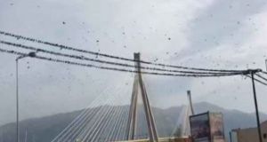 Χιλιάδες ψαρόνια στο Αντίρριο – Εντυπωσιακοί σχηματισμοί στη Γέφυρα (Βίντεο)