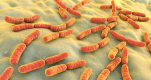 Ανακαλύφθηκαν 2.000 άγνωστα έως τώρα είδη βακτηρίων στο ανθρώπινο έντερο