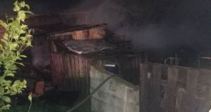 Αγρίνιο: Πυρκαγιά εκδηλώθηκε σε αποθήκη με μελίσσια (Φωτό)