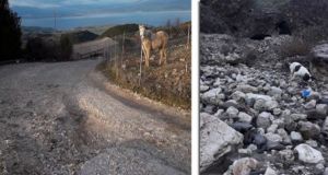 Σε απόγνωση αγρότες και κτηνοτρόφοι στο Θύρρειο Βόνιτσας από τις…