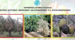 Π.Ε. Αιτωλοακαρνανίας: Ξυλέλλα – Τριστέτσα των Εσπεριδοειδών – Γλοιοσπόριο (Πρόγραμμα)
