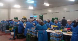 Ένωση Αγρινίου: Πρόσληψη εργατών για το συσκευαστήριο στη Νεάπολη