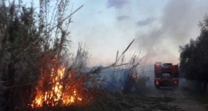 Πυρκαγιά σε αγρόκτημα στον οικισμό Λεύκα Αγρινίου