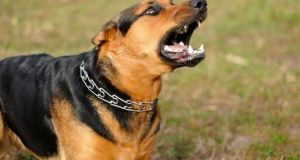 Αγρίνιο: Συνελήφθη γιατί ο σκύλος του επιτέθηκε σε 10χρονη