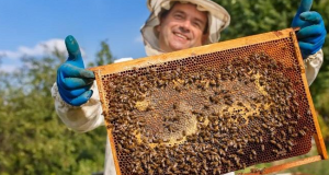 Ένωση Αγρινίου: «Εκπαιδεύσεις Μελισσοκόμων»