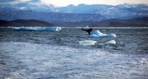 Λιώνουν οι πάγοι στην Αλάσκα! Οι αρχές διέταξαν εκκένωση δύο…