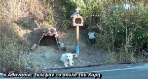 Ναύπακτος: Άγνωστοι πήραν το σκύλο του Χάρη ή το Ελληνικό…