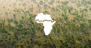 Το Μέγα Πράσινο Τείχος: 20 αφρικανικές χώρες πραγματοποιούν ένα απίθανο…
