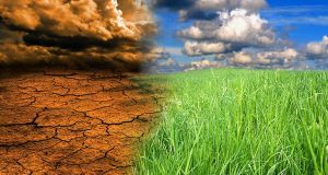 Ο αγροτικός τομέας το μεγάλο θύμα της κλιματικής αλλαγής
