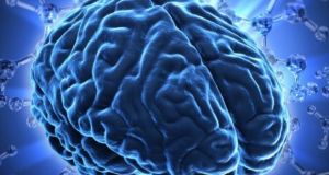 Έρευνα: Ο εγκέφαλος λειτουργεί και μετά τον θάνατο – Ο…