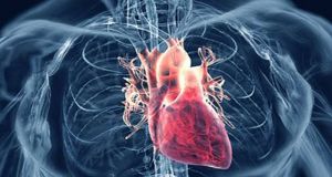 Έρευνα: Αυξημένος ο κίνδυνος καρδιαγγειακής νόσου για όσους έχουν χάσει…