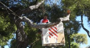 Πρόγραμμα κλαδέματος δέντρων από το τμήμα του Δήμου Πατρέων
